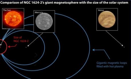 Il campo magnetico della stella di tipo spettrale O chiamata NGC 1624-2 è insolitamente grande per la sua classe. Nell’immagine una simulazione di quanto sarebbe esteso il suo campo magnetico se la stella si trovasse al posto del Sole. Crediti: SOHO