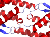 Immunologia: generalità sulle citochine
