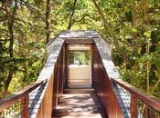 casa sull’albero, sogno mamme bambini!