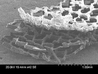 Tessuto artificiale tipo velcro per riparare un cuore danneggiato