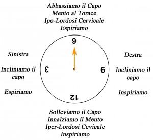 Il Clock – La circonferenza Cervicale su Fitball