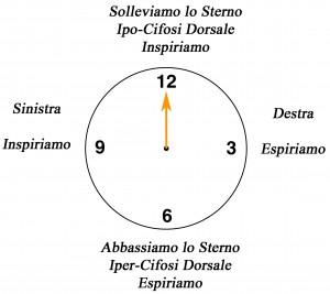 Il Clock – La circonferenza Dorsale su Fitball