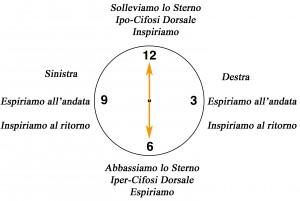 Il Clock – La circonferenza Dorsale su Fitball