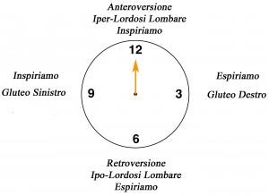 Il Clock – La circonferenza lombare su Fitball