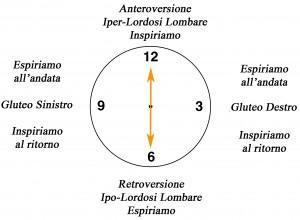 Il Clock – La circonferenza lombare su Fitball