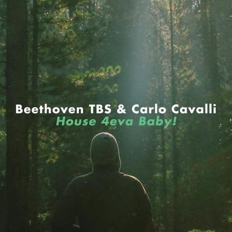 Beethoven TBS: due tracce su compilation Hit Mania