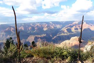 Grand Canyon, Arizona, USA