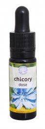 Chicory Dose