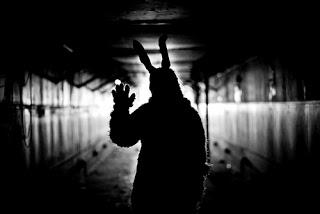 Curiosando Casualmente un Film: 10 Curiosità su Donnie Darko