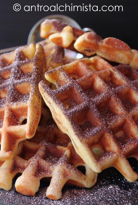 Gaufres alla Cannella con Farina di Farro e Yogurt