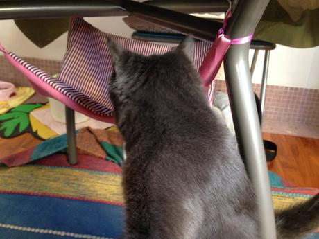 diy-cat-hammock-amaca-gatti