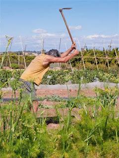 Agroecologia, la nuova frontiera della lotta sociale