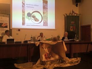 Ortofarmacia, il cibo che cura i sani