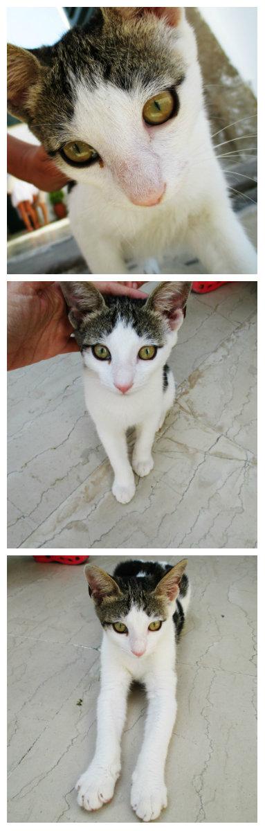 My Summer in Greece: Paxos & Mediterranean Greek Coast