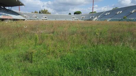 25 foto dallo Stadio Flaminio. Capolavoro d'architettura in zona di lusso lasciato morire in abbandono per incapacità e sciatteria