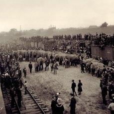 Il magico mondo del circo nelle fotografie di Frederick W. Glasier.