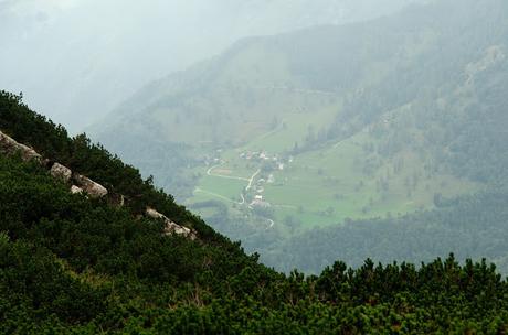 VOGEL: sentieri nascosti