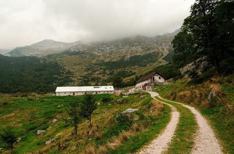 VOGEL: sentieri nascosti