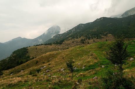 VOGEL: sentieri nascosti