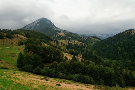 VOGEL: sentieri nascosti