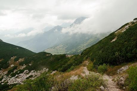 VOGEL: sentieri nascosti