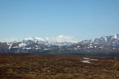 Viaggio in Alaska (parte 5): verso il Denali e ritorno ad Anchorage