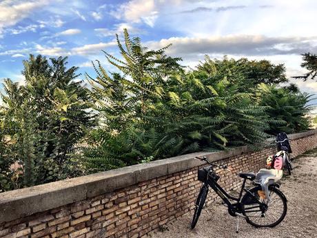 Il panorama del Belvedere di Sant'Alessio non esiste più. Andirivieni di turisti amareggiati all'Aventino