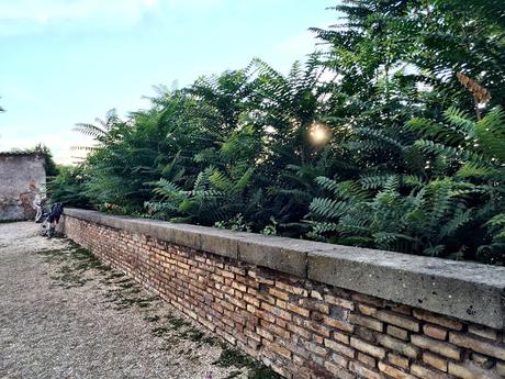 Il panorama del Belvedere di Sant'Alessio non esiste più. Andirivieni di turisti amareggiati all'Aventino