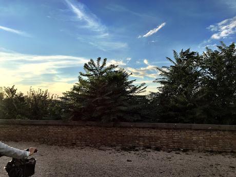 Il panorama del Belvedere di Sant'Alessio non esiste più. Andirivieni di turisti amareggiati all'Aventino