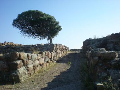 Un particolare del sito archeologico di Monte Sirai (Foto...