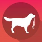 Alleniamoci con il nostro cane con Dog Walking !