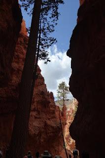 Bryce Canyon, Utah, USA