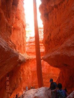 Bryce Canyon, Utah, USA