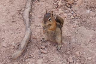 Bryce Canyon, Utah, USA