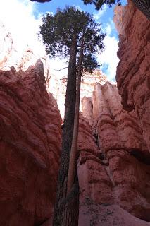 Bryce Canyon, Utah, USA