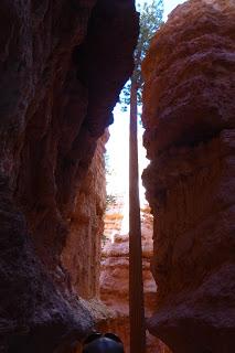 Bryce Canyon, Utah, USA