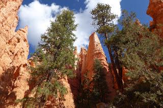 Bryce Canyon, Utah, USA