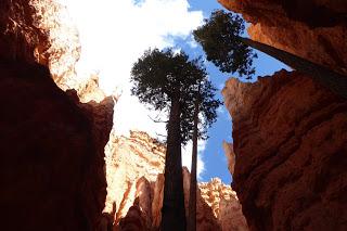 Bryce Canyon, Utah, USA