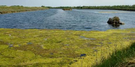 Delta del Po: natura, sport e piscina a Rosolina Mare