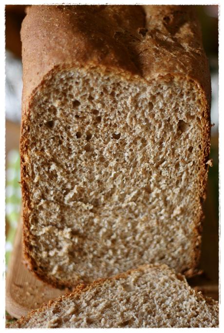 Pane integrale latticello MDP 2