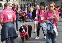 Firenze si tinge di rosa