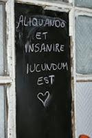 Aliquando et insanire iucundum est