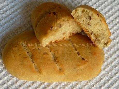 Pane ? Biscotto ? con farina di riso, ceci, e di kamut con mix di semi...