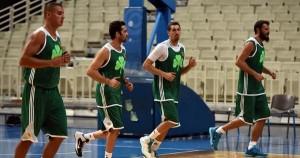 Panathinaikos - © 2015 twitter.com/paobcgr