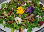 fiori commestibili nostri piatti