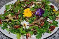 I fiori commestibili nei nostri piatti