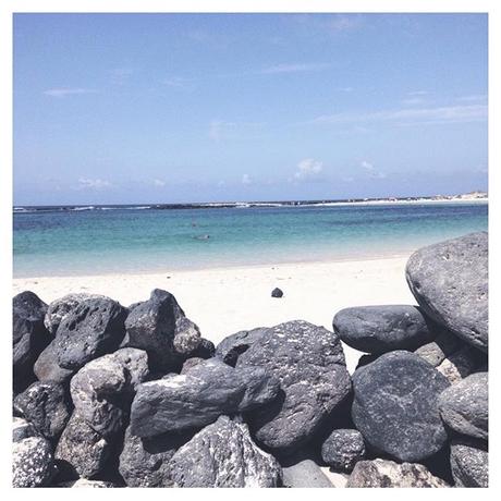 #VOGUEOFINSTAGRAM: Fuerteventura