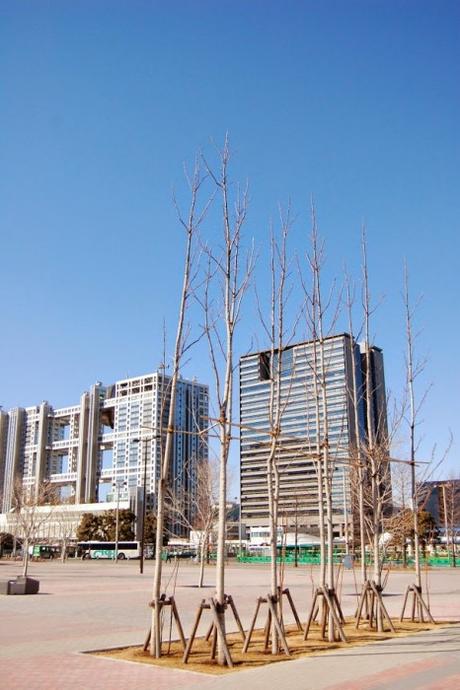 Il Fuji tv building di Odaiba