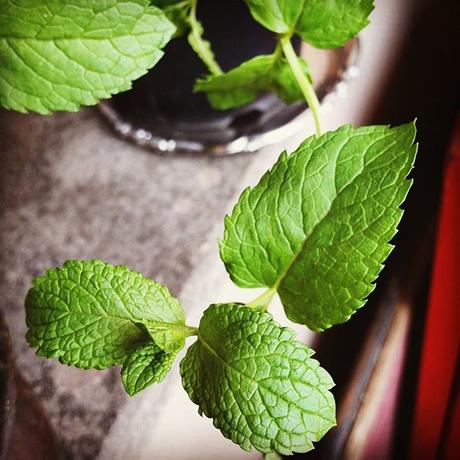 OOTD: Black & Grey & MIckey Mouse