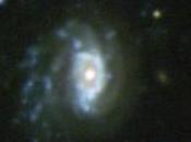 Alla ricerca delle meduse cieli